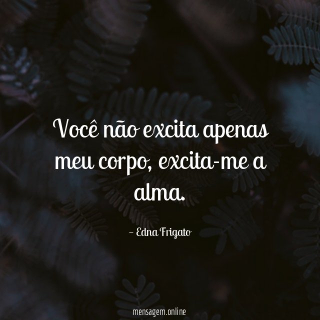 Você não excita apenas meu corpo