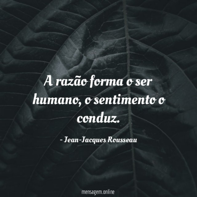 A razão forma o ser humano