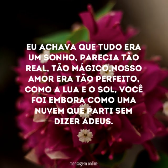 Eu achava que tudo era um sonho