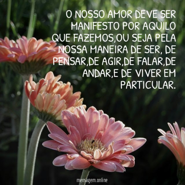 O nosso amor deve ser manifesto por aquilo que fazemos