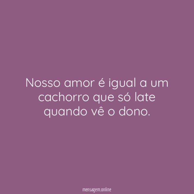 Nosso amor é igual a um cachorro que