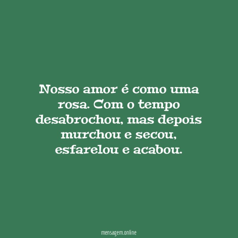 Nosso amor é como uma rosa