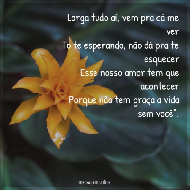 Larga tudo aí