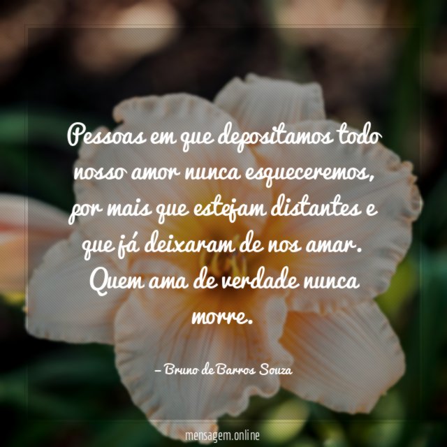 Pessoas em que depositamos todo nosso amor nunca esqueceremos