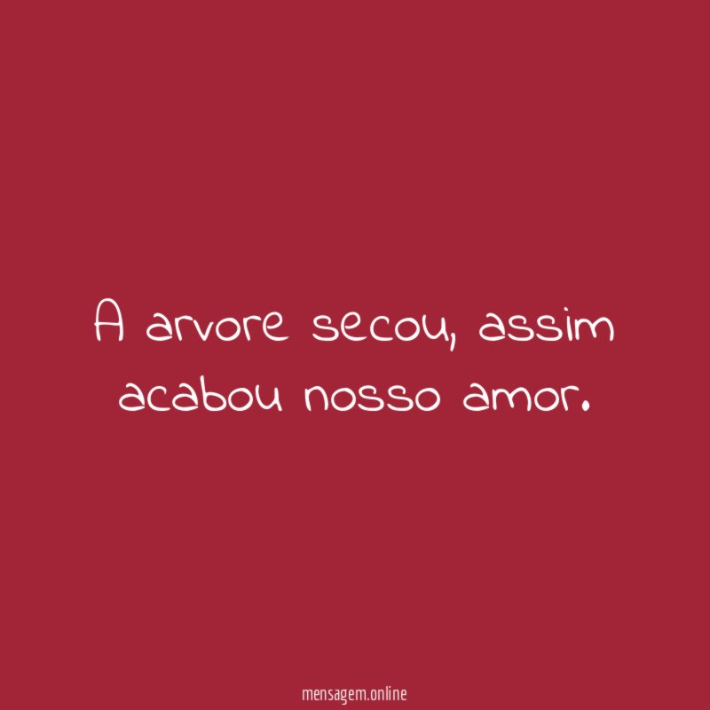 A arvore secou