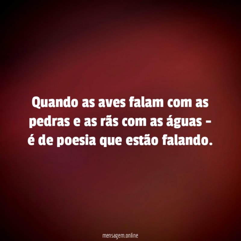 Quando as aves falam com as pedras
