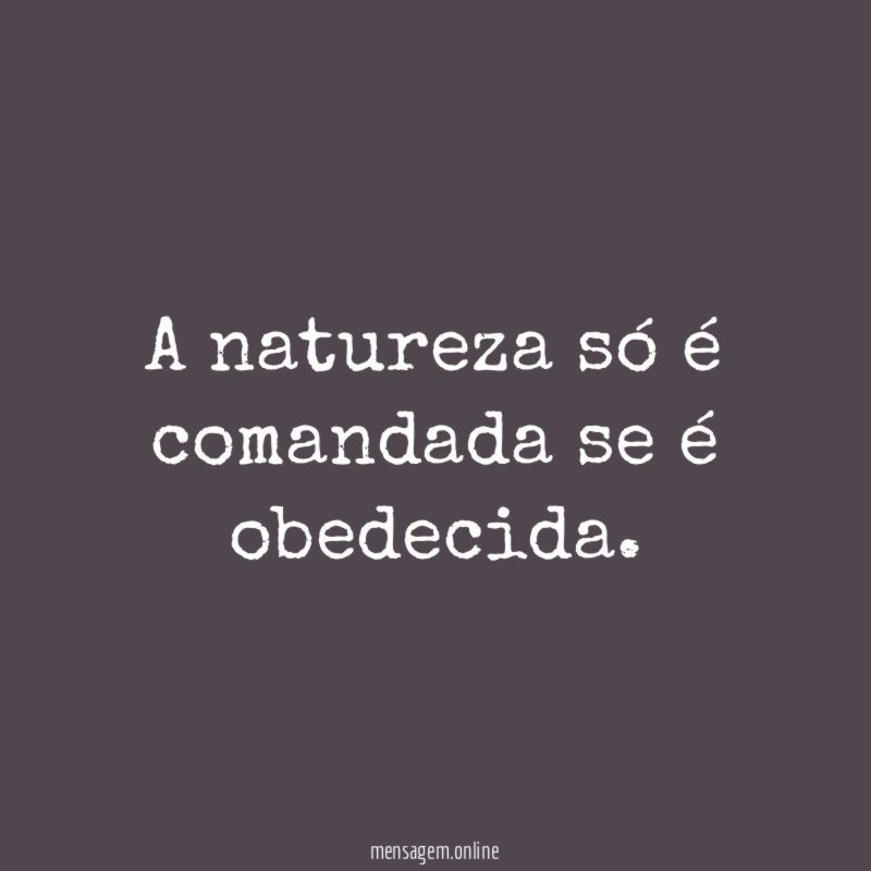 A natureza só é comandada se é obedecida