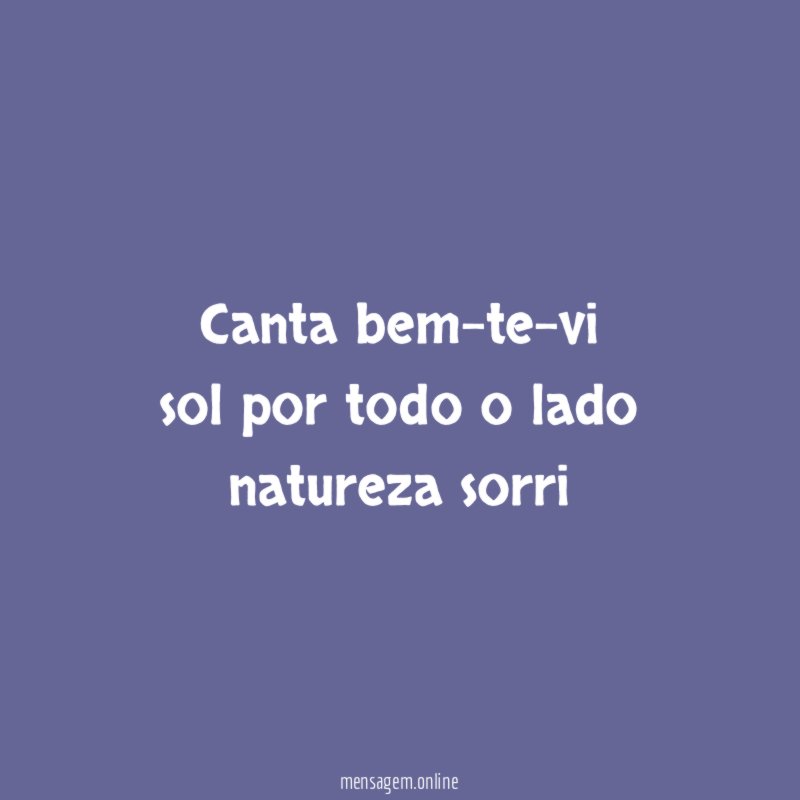 canta bem-te-vi sol por todo o lado natureza sorri
