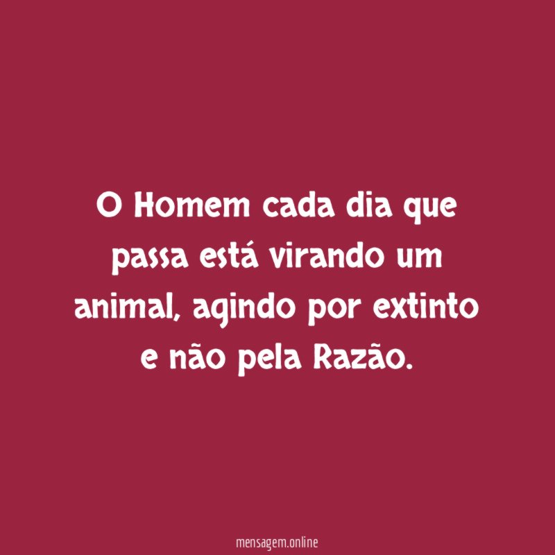 O Homem cada dia que passa está virando um animal