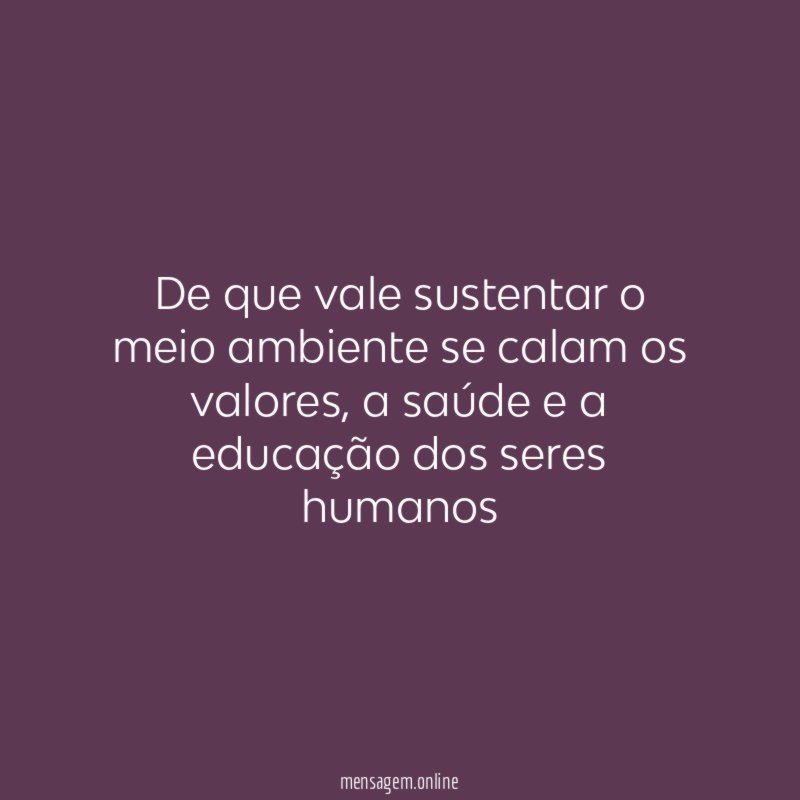De que vale sustentar o meio ambiente se calam os valores
