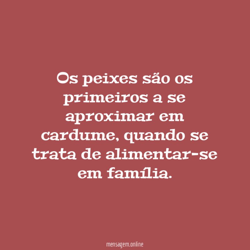 Os peixes são os primeiros a se aproximar em cardume