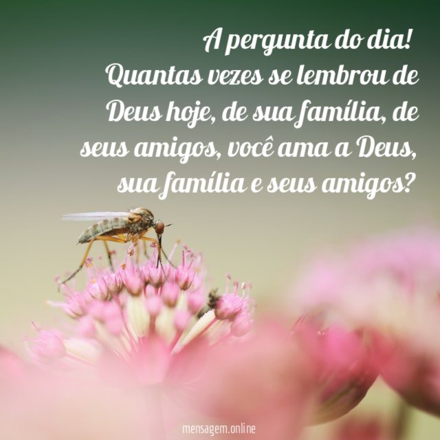 A pergunta do dia