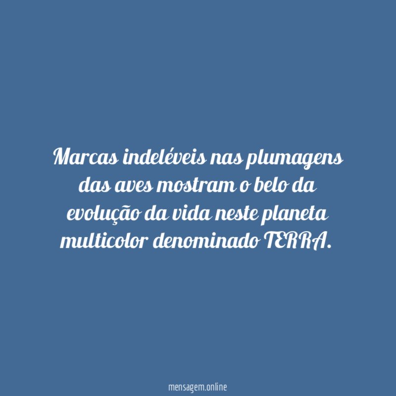 Marcas indeléveis nas plumagens das aves mostram