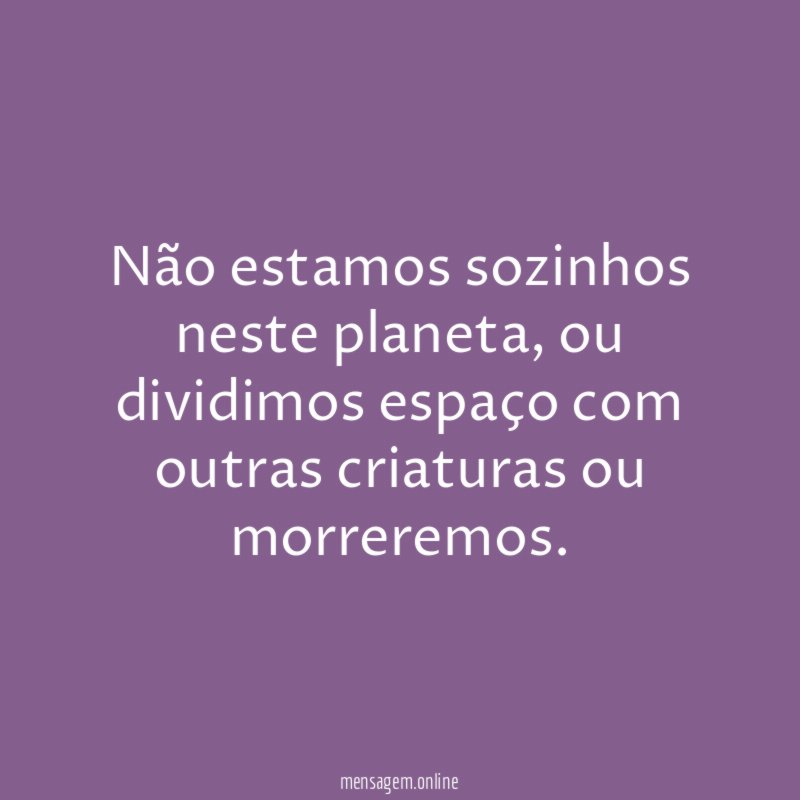 Não estamos sozinhos neste planeta