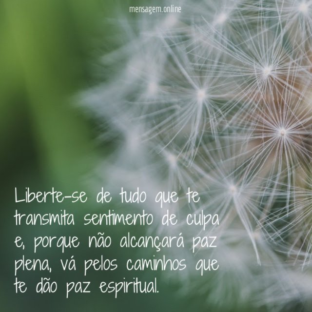 Liberte-se de tudo que te transmita sentimento de culpa