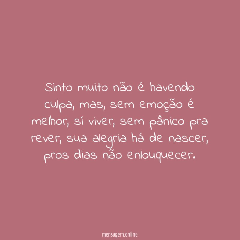 Sinto muito não é havendo culpa