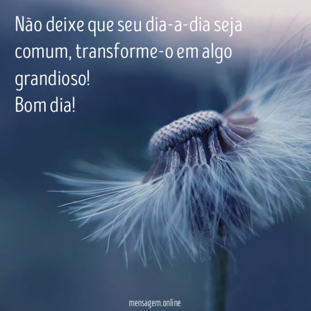 Não deixe que seu dia-a-dia seja comum