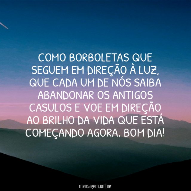 Como borboletas que seguem em direção à luz
