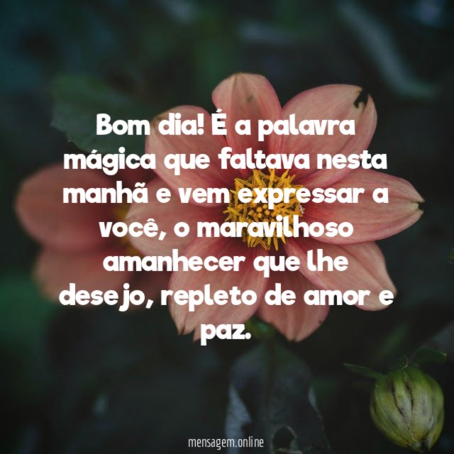 Bom dia