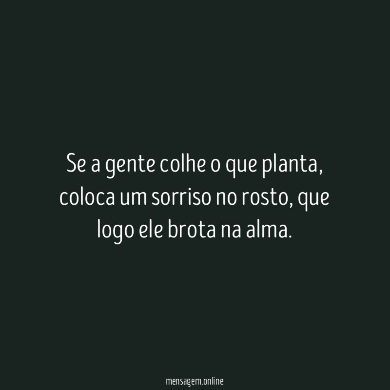 Se a gente colhe o que planta