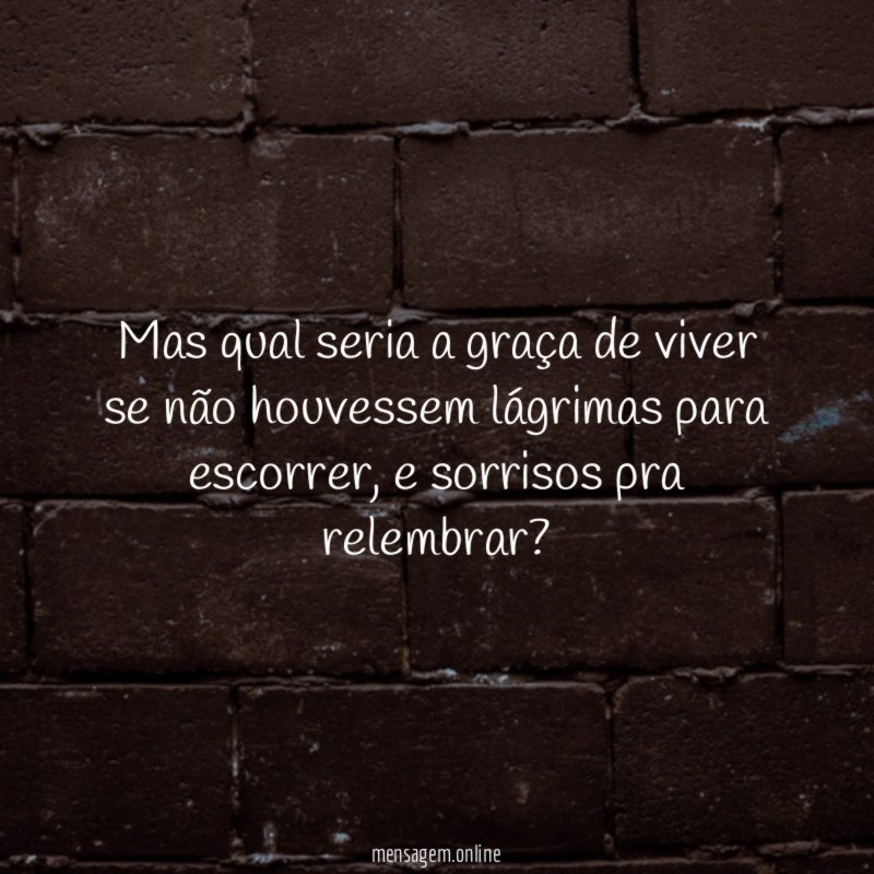 Mas qual seria a graça de viver se