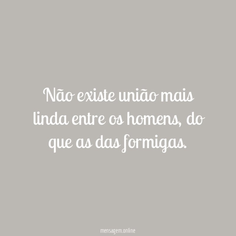 Não existe união mais linda entre os homens
