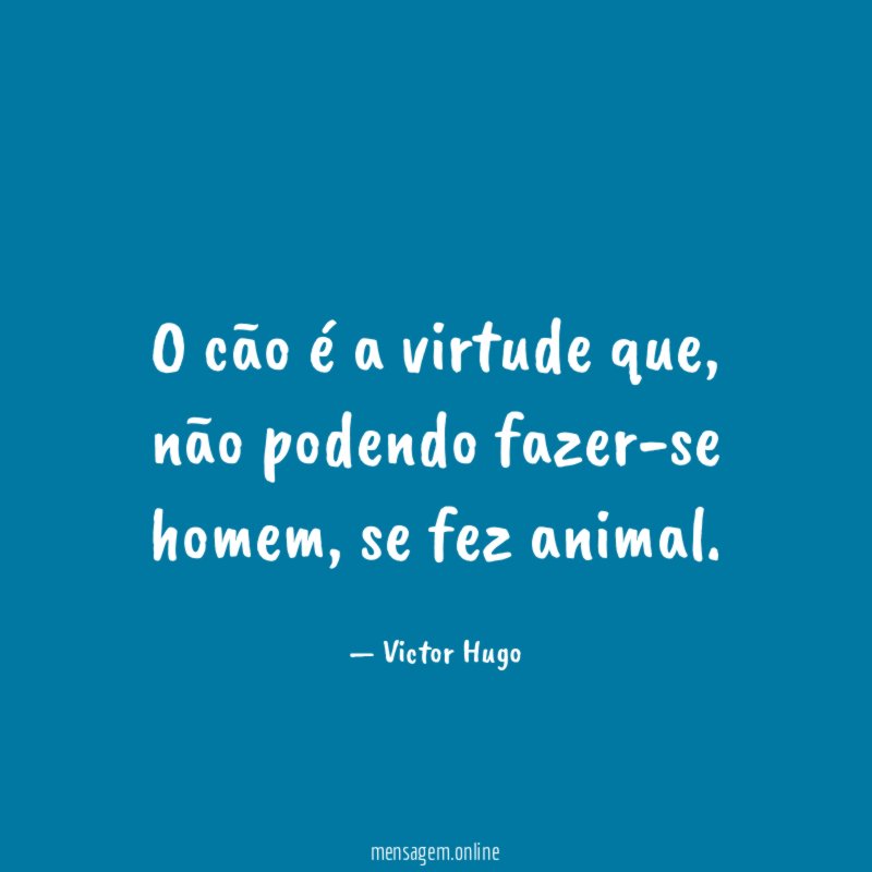 O cão é a virtude que