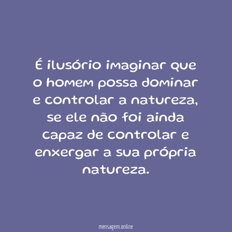 É ilusório imaginar que o homem possa dominar e controlar a natureza