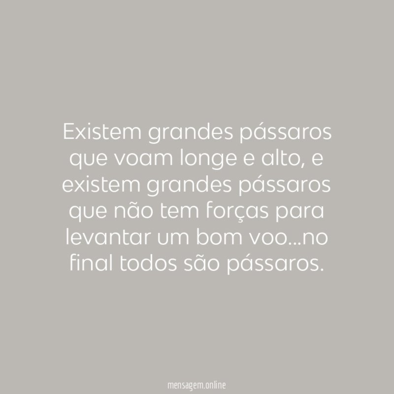 Existem grandes pássaros que voam longe e alto