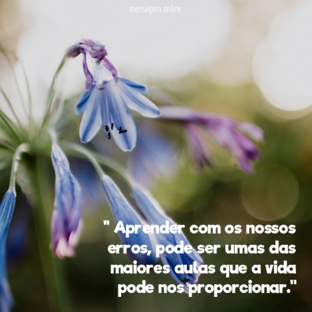 ' Aprender com os nossos erros