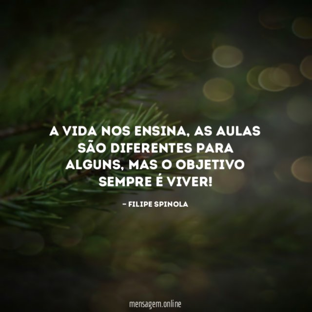 A vida nos ensina