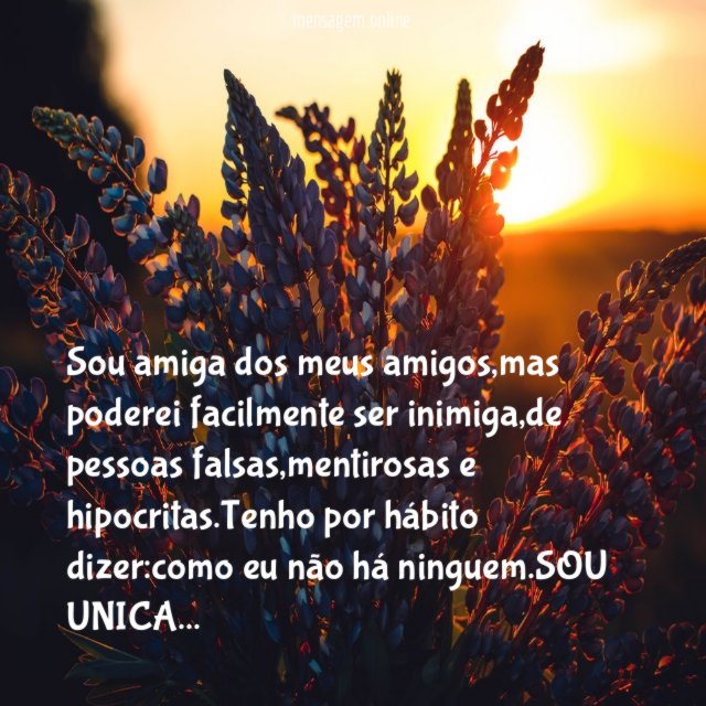 Sou amiga dos meus amigos