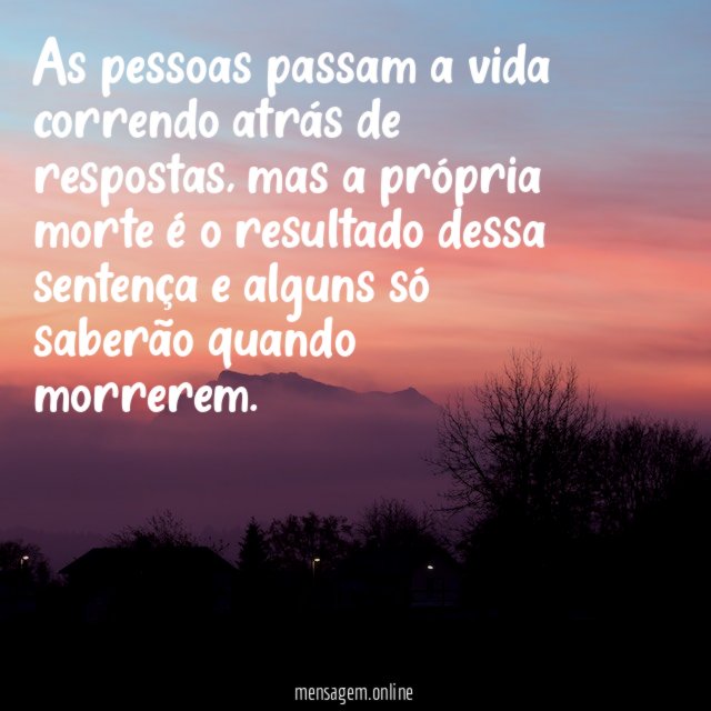 As pessoas passam a vida correndo atrás de respostas