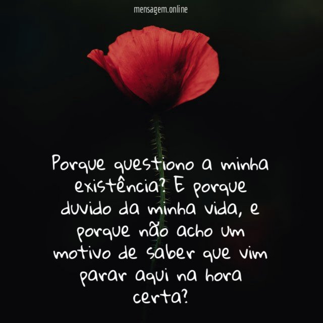 Porque questiono a minha existência