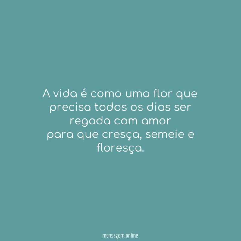A vida é como uma flor que precisa