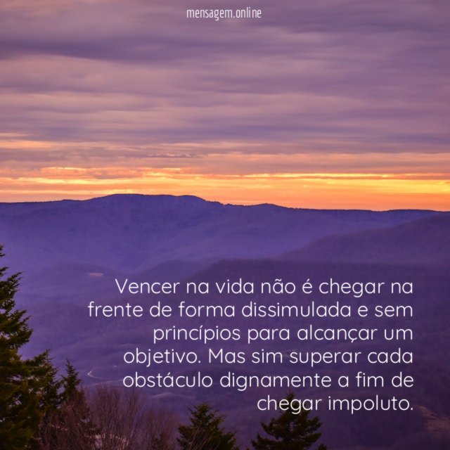 Vencer na vida não é chegar na frente