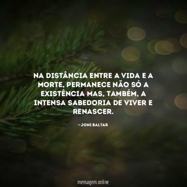 Na distância entre a vida e a morte