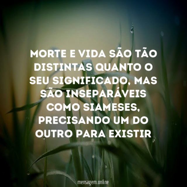 Morte e Vida são tão distintas quanto o seu significado