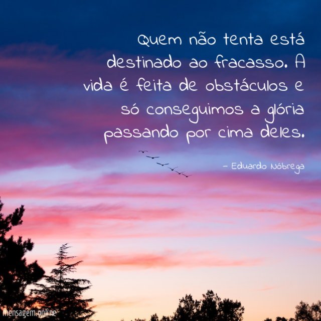 Quem não tenta está destinado ao fracasso