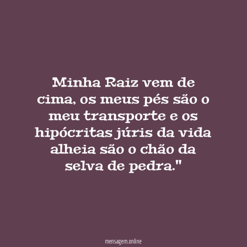 Minha Raiz vem de cima