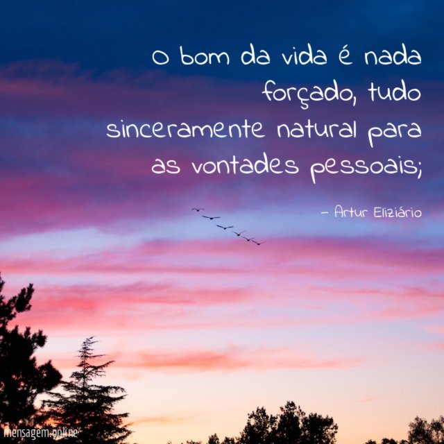 O bom da vida é nada forçado