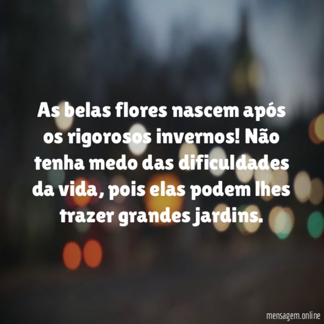 As belas flores nascem após os rigorosos invernos