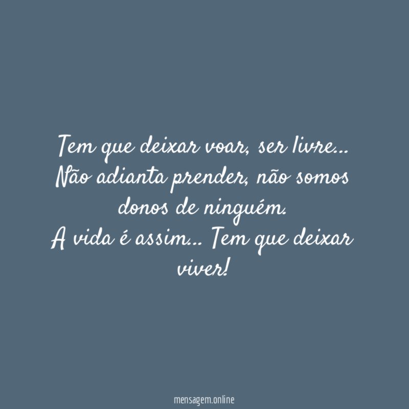 Tem que deixar voar