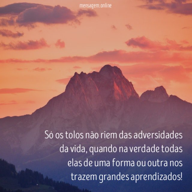 Só os tolos não riem das adversidades da vida