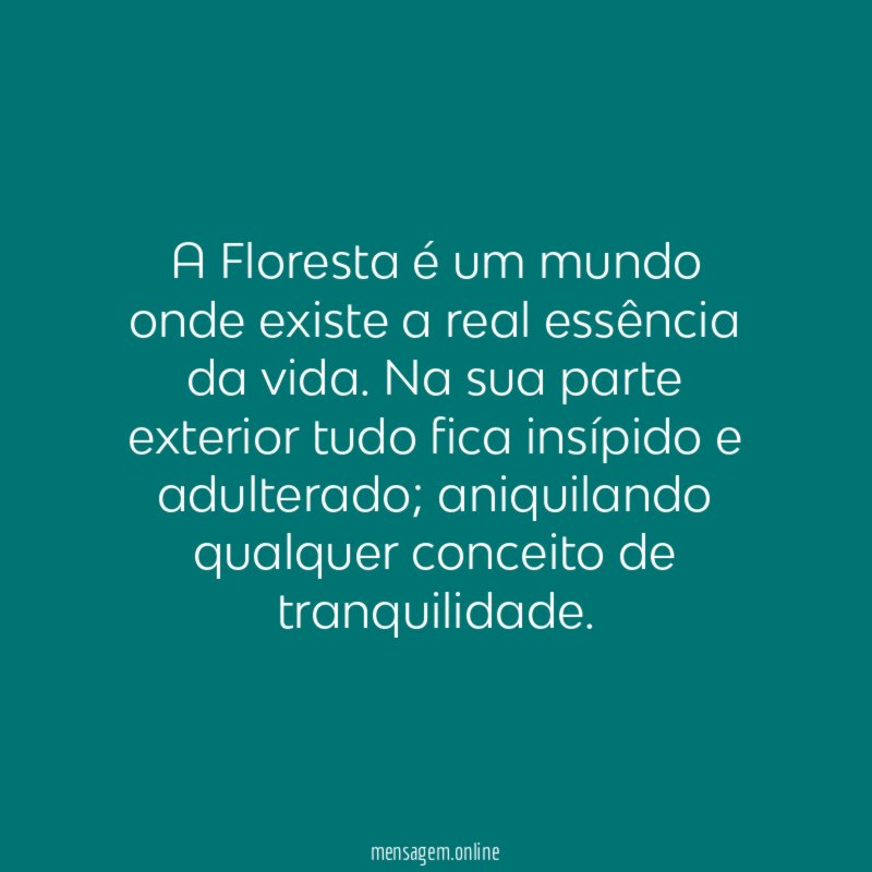A Floresta é um mundo onde existe a real essência da vida