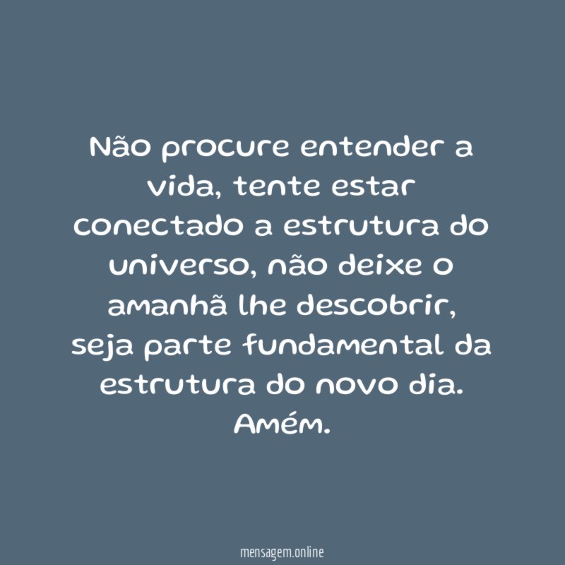 Não procure entender a vida