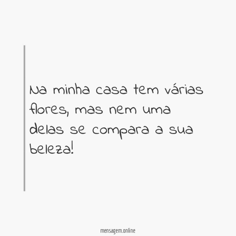 Na minha casa tem várias flores