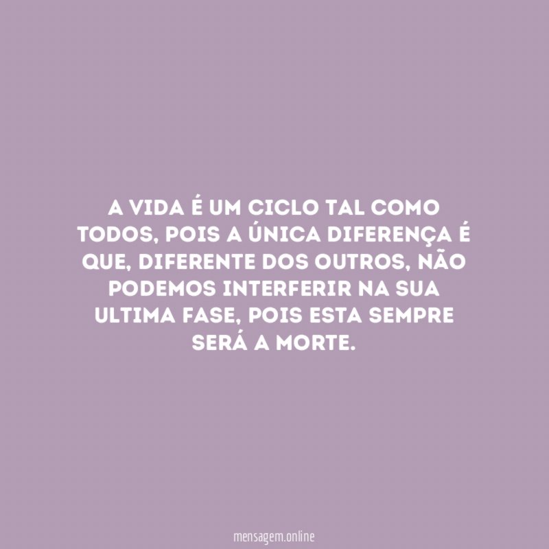 A vida é um ciclo tal como todos