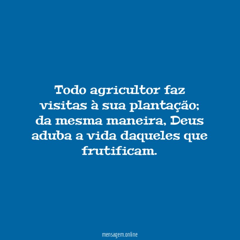 Todo agricultor faz visitas à sua plantação