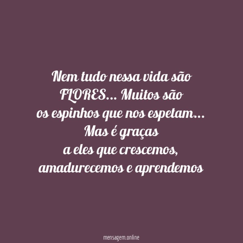 Nem tudo nessa vida são FLORES